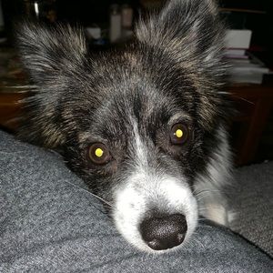 Meet your Posher, Sherry